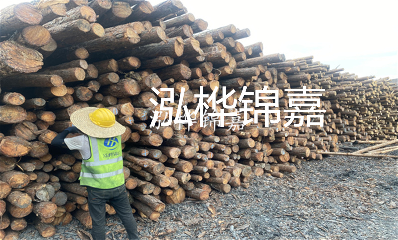 自然之美，輕盈落葉松板材的魅力